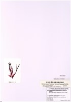 藏品(日本對絲藻)的圖片